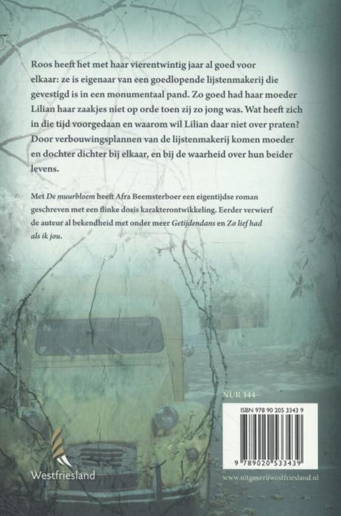 Achterkant van De muurbloem