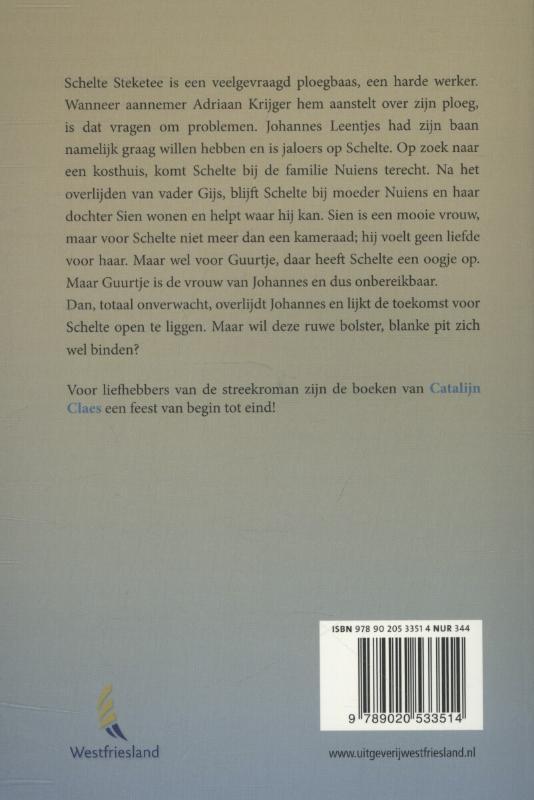 Achterkant van De steenzetters