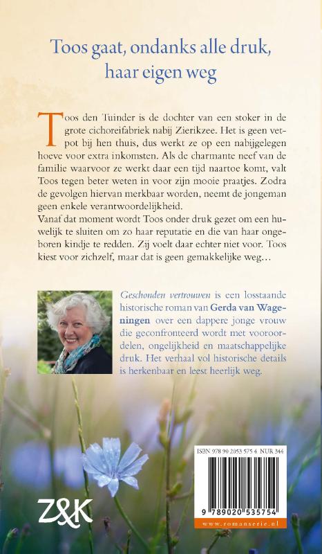 Achterkant van Geschonden vertrouwen