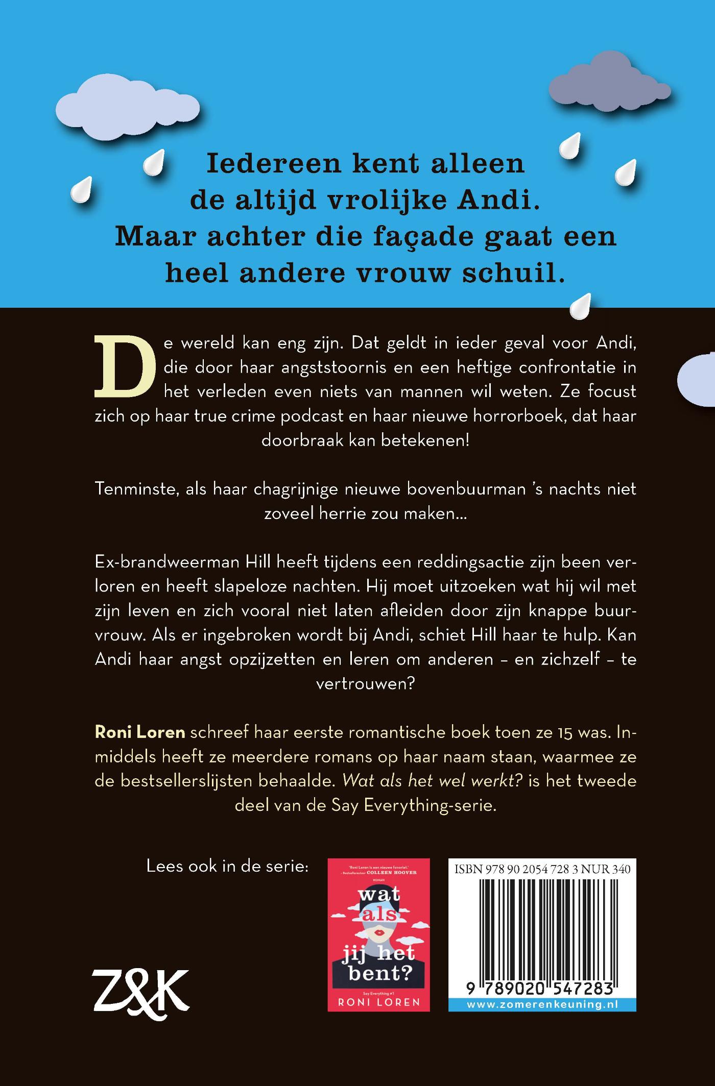 Achterkant van Wat als het wel werkt?