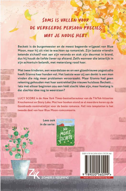 Achterkant van Fall into temptation