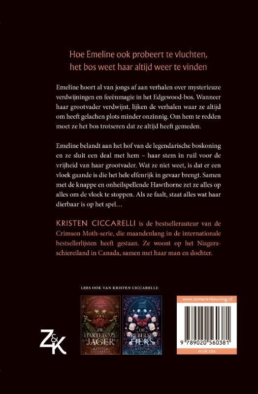 Achterkant van Lied in het duister