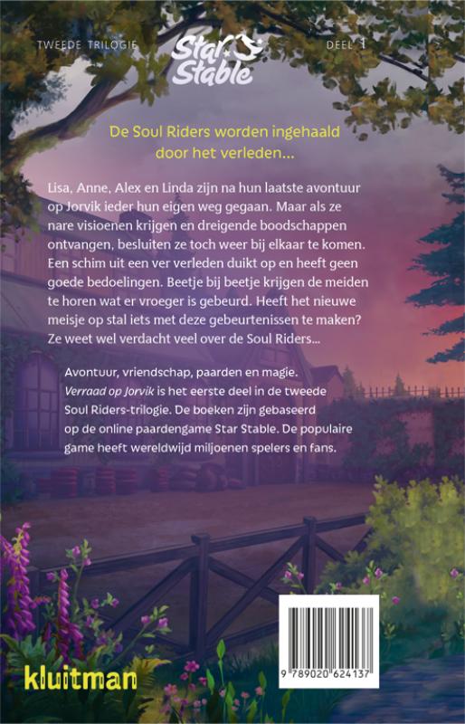 Achterkant van Verraad op Jorvik