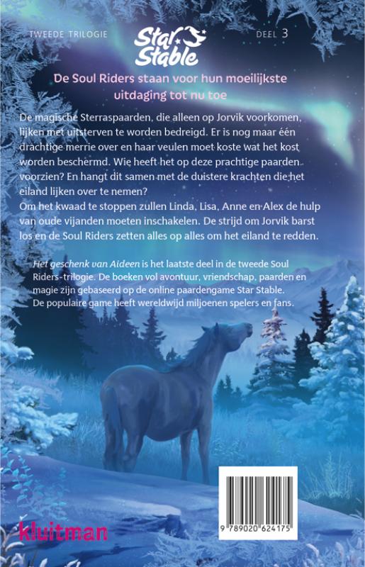 Achterkant van Het geschenk van Aideen