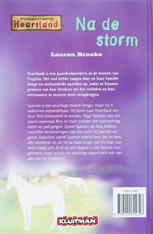 Achterkant van Na de storm