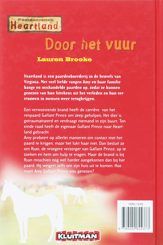 Achterkant van Door het vuur