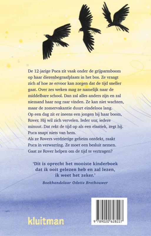 Achterkant van De zomer die alles was