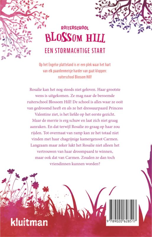 Achterkant van Een stormachtige start