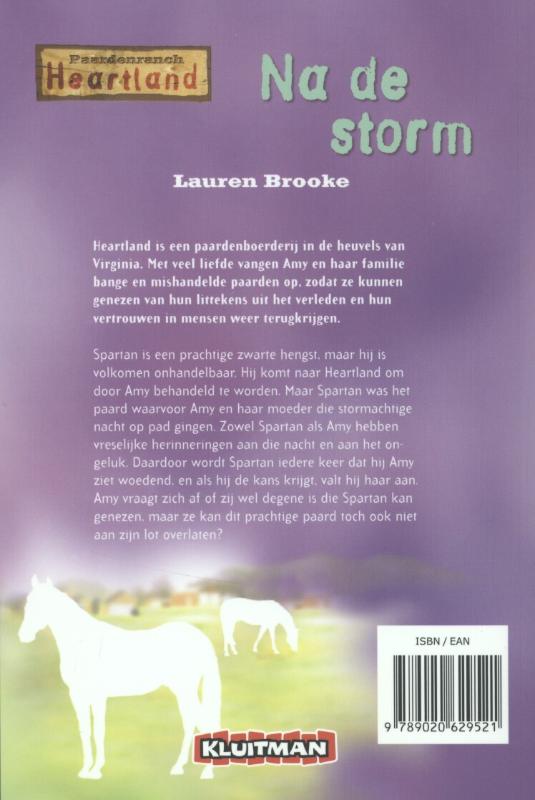 Achterkant van Na de storm
