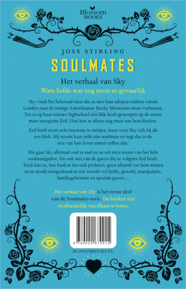 Achterkant van het verhaal van Sky
