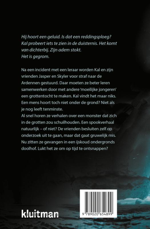 Achterkant van IJsnacht