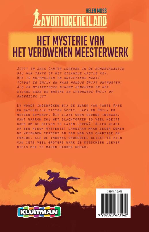 Achterkant van Het mysterie van het verdwenen meesterwerk