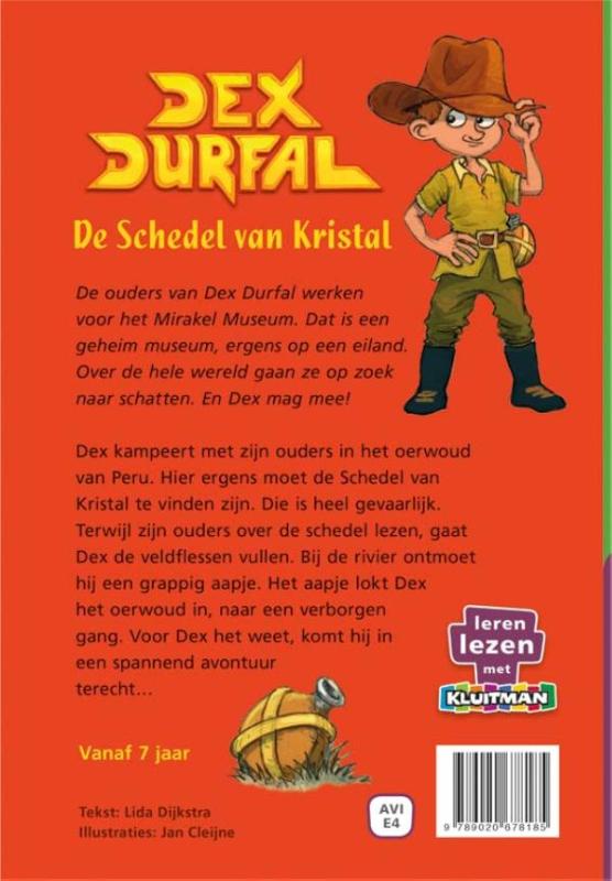 Achterkant van De schedel van kristal