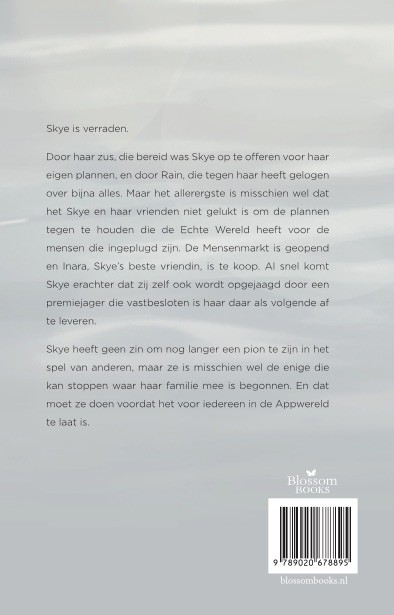 Achterkant van De mensenmarkt