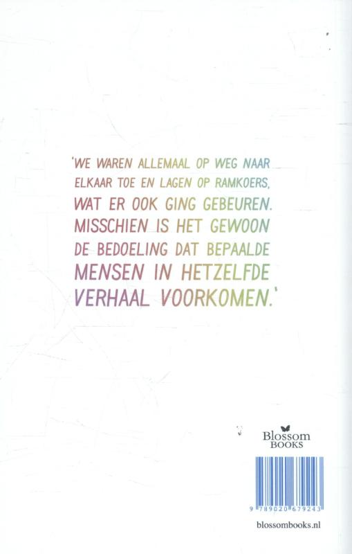 Achterkant van Ik geef je de zon