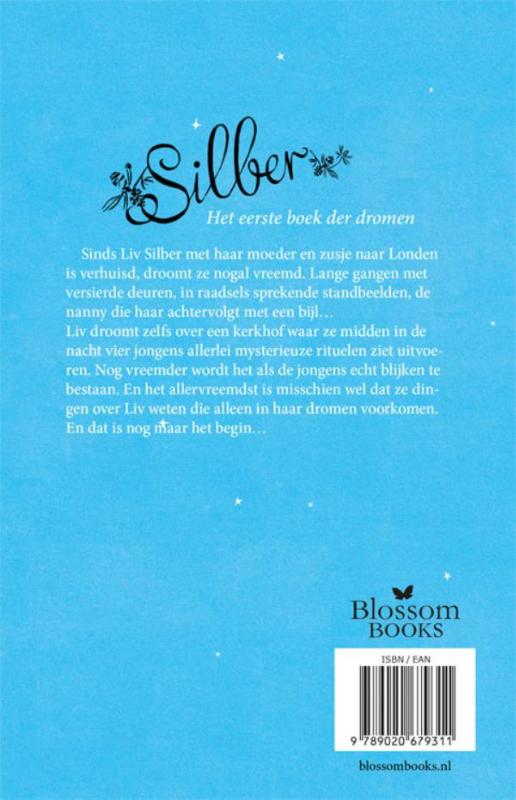 Achterkant van Silber