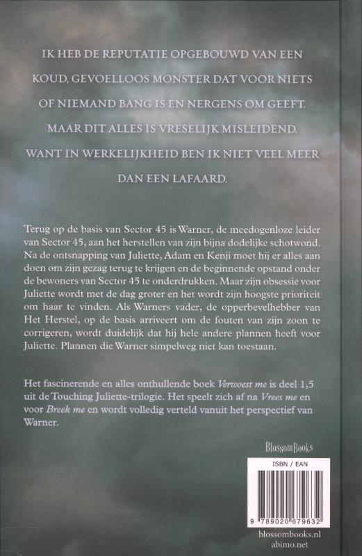 Achterkant van Verwoest me