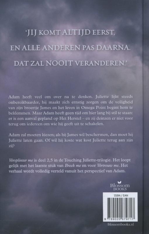 Achterkant van Versplinter me