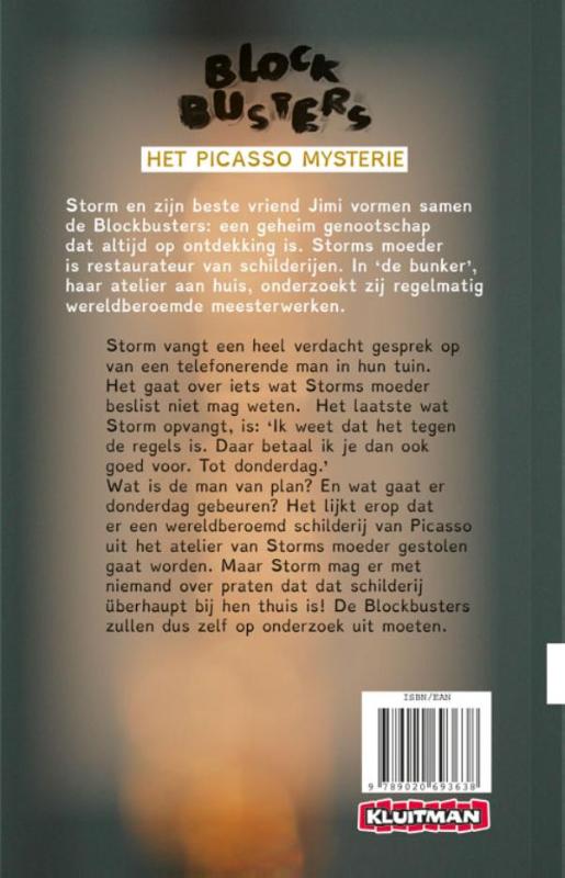 Achterkant van Het Picasso mysterie
