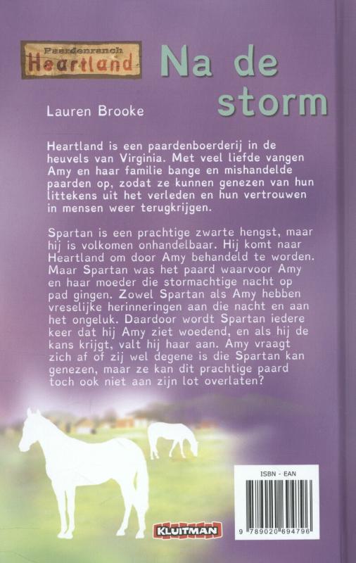 Achterkant van Na de storm