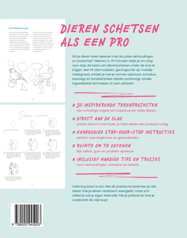 Achterkant van Tekenen in 30 minuten