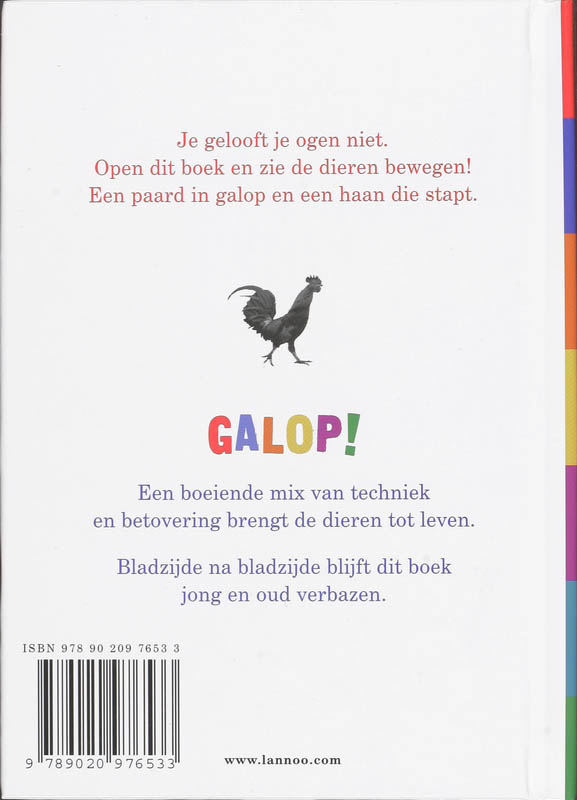 Achterkant van Galop!