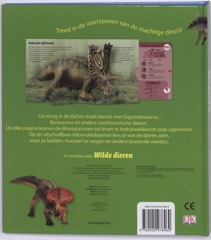 Achterkant van Dino's