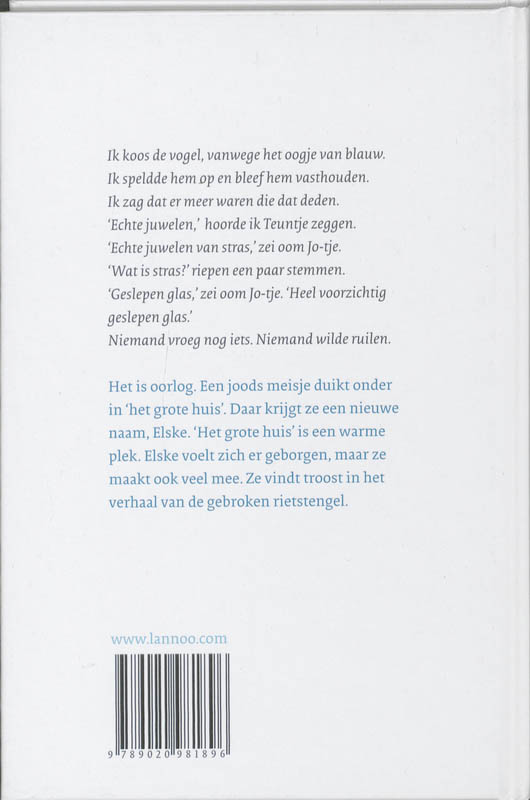 Achterkant van Juwelen van stras