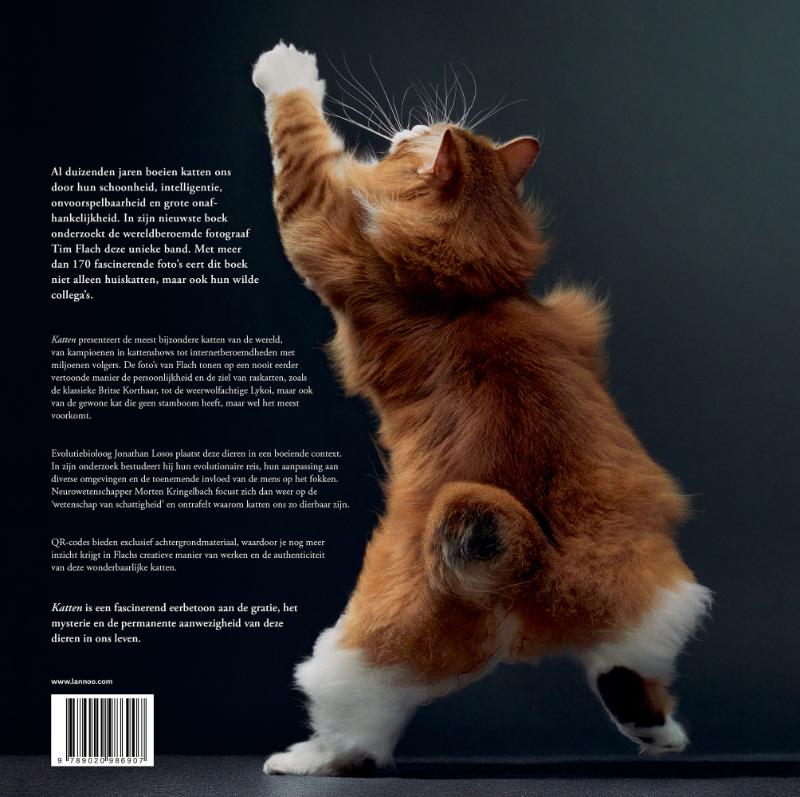 Achterkant van Katten