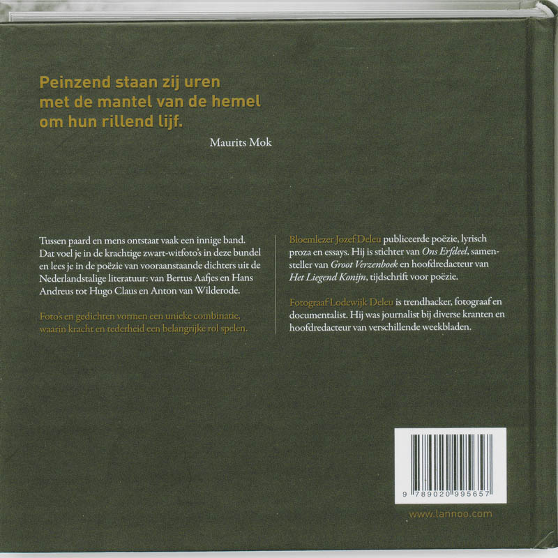 Achterkant van Wij paarden
