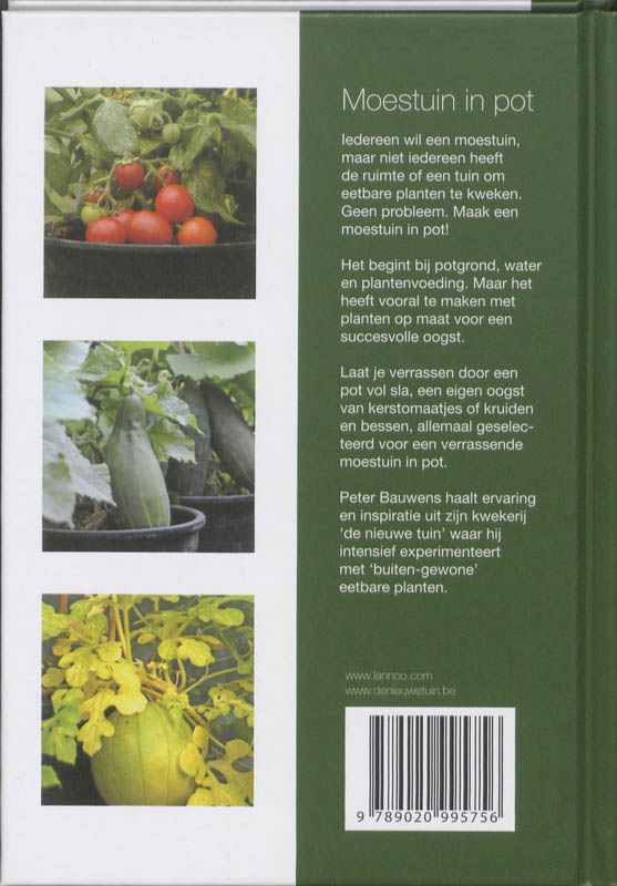 Achterkant van Moestuin in pot