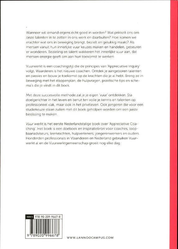 Achterkant van Vuur werkt