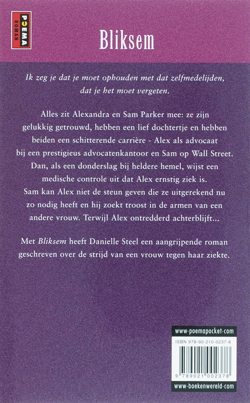Achterkant van Bliksem