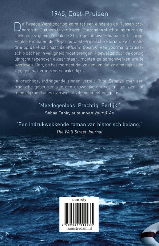 Achterkant van Zout van de zee