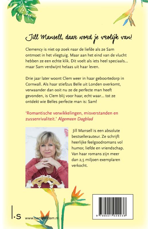 Achterkant van Ik zie je op het strand