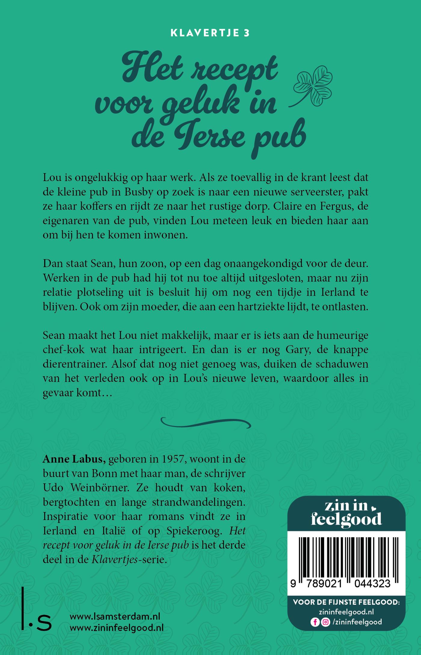 Achterkant van Het recept voor geluk in de Ierse pub