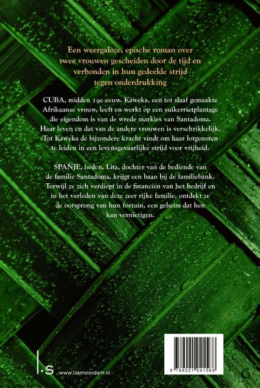Achterkant van De vrouwen van de suikerrietplantage