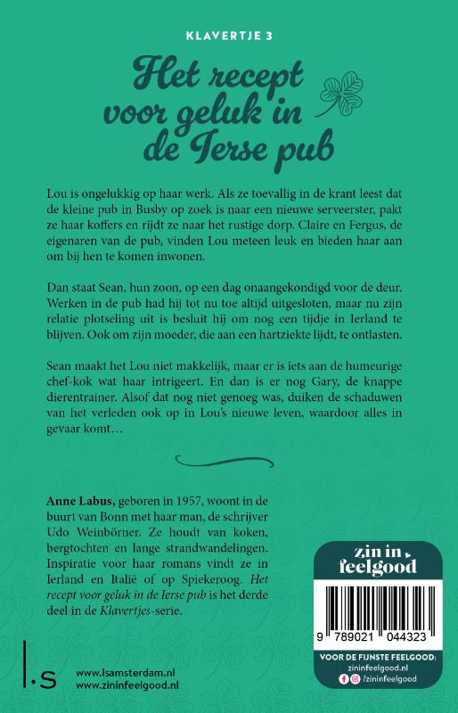 Achterkant van Het recept voor geluk in de Ierse pub