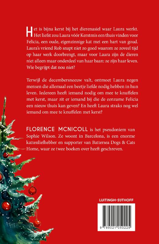 Achterkant van Een kat voor kerst
