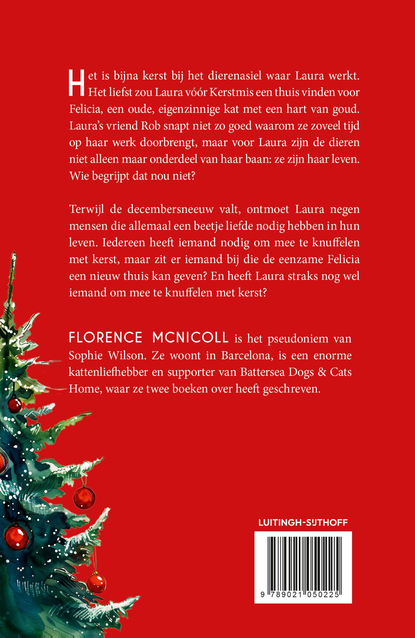 Achterkant van Een kat voor kerst