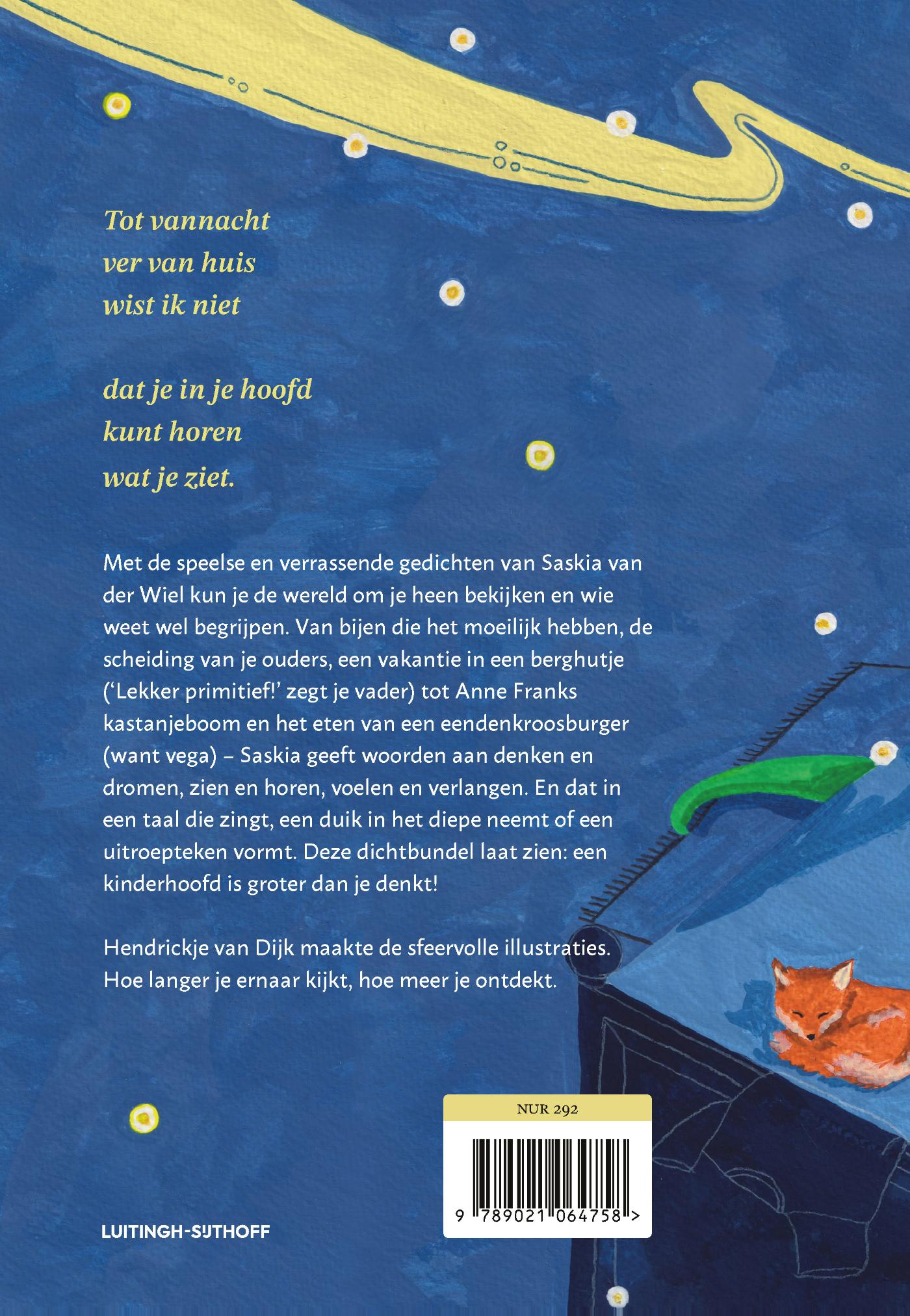 Achterkant van Dat past allemaal in je hoofd
