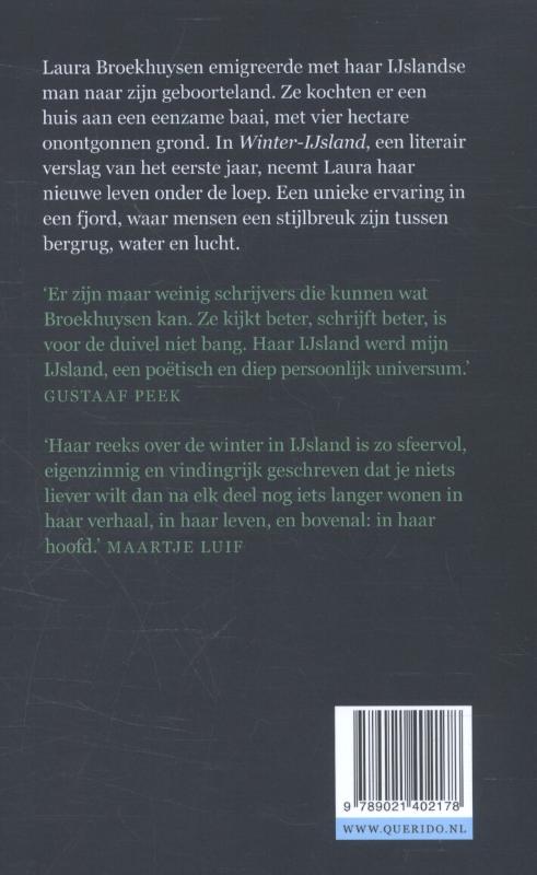 Achterkant van Winter-IJsland