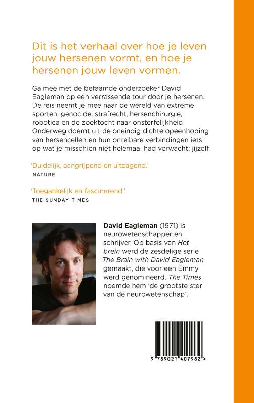 Achterkant van Het brein