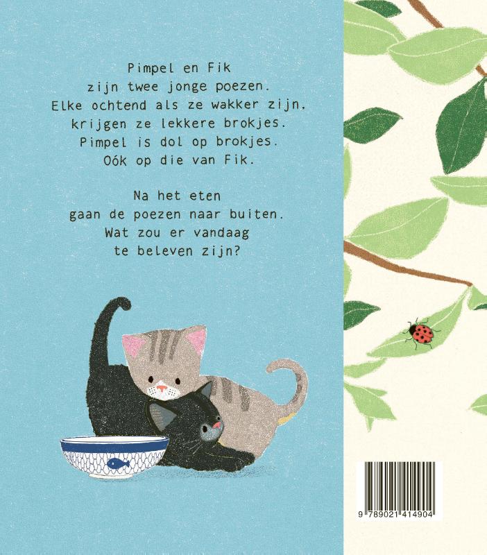 Achterkant van Knoeipoezen