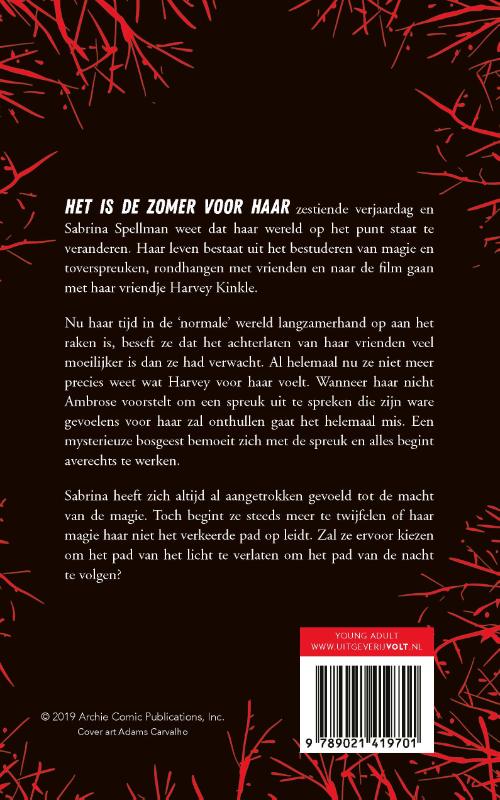 Achterkant van Grimmige avonturen van Sabrina