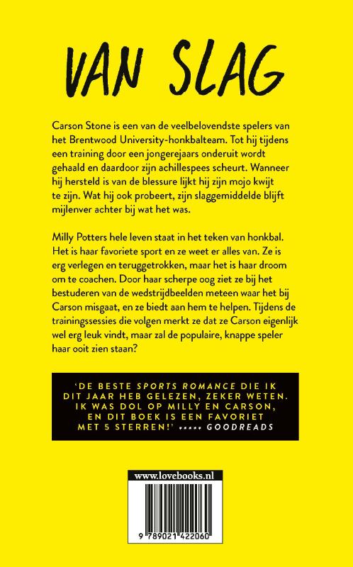 Achterkant van Van slag