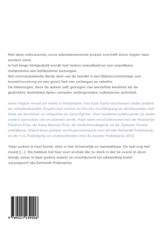 Achterkant van Eiland berg gletsjer