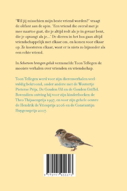 Achterkant van Scherven brengen geluk