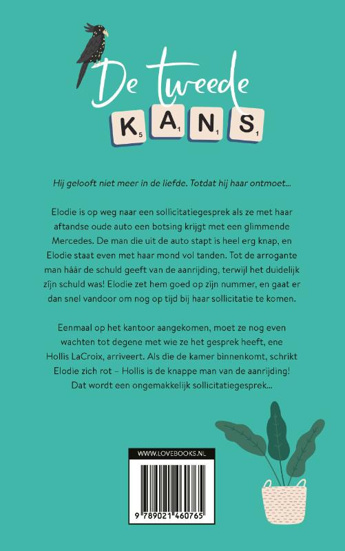 Achterkant van De tweede kans