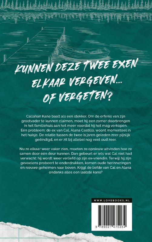 Achterkant van De laatste kans